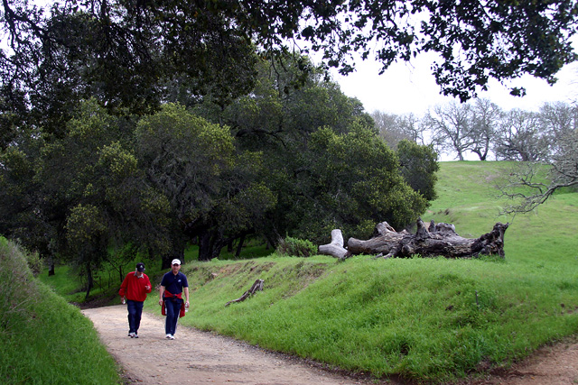 Hiking_9.jpg