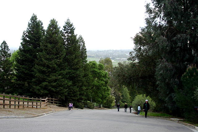 Hiking_1.jpg