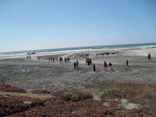 SDC19213.JPG