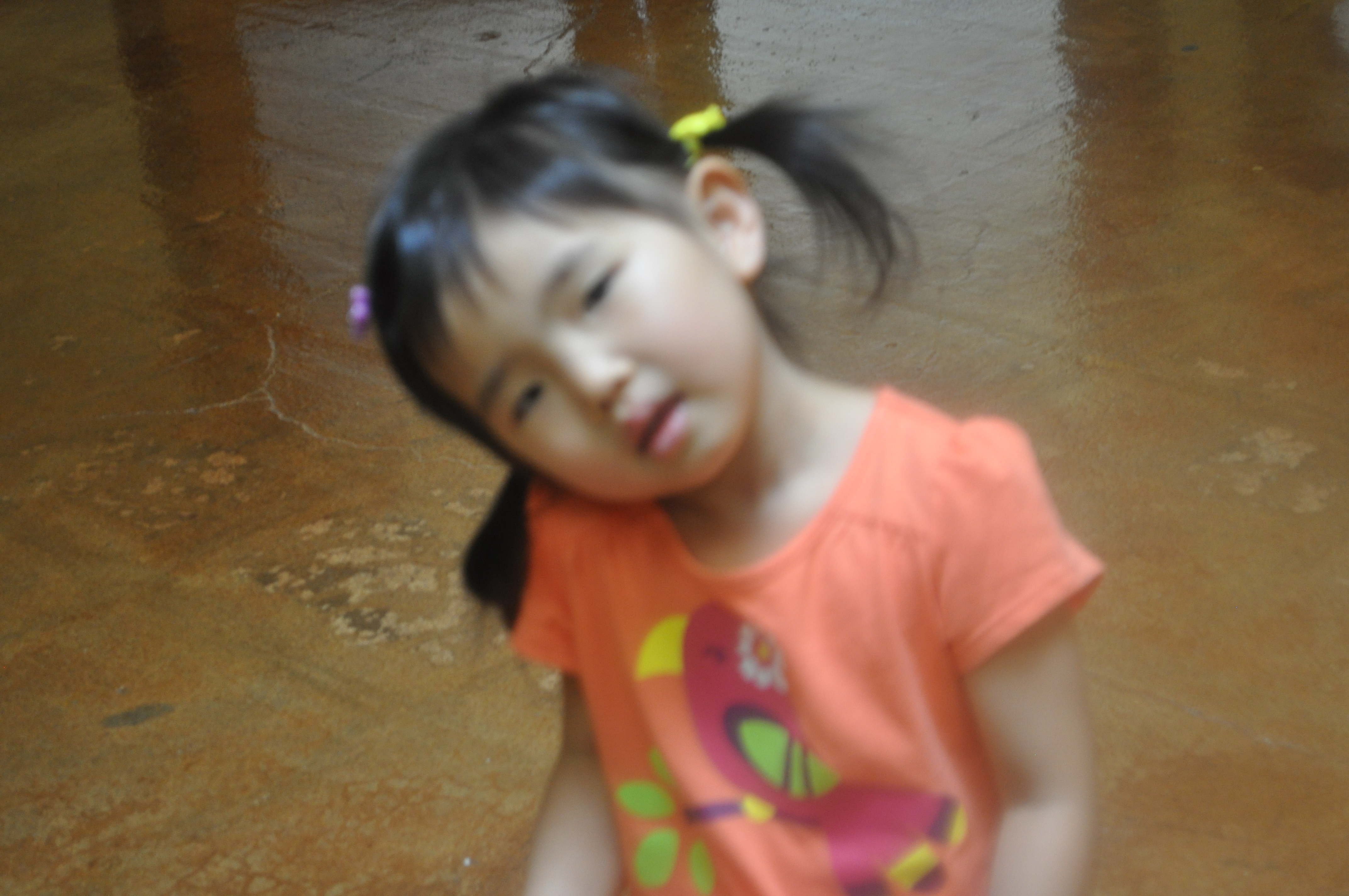 DSC_0248.JPG