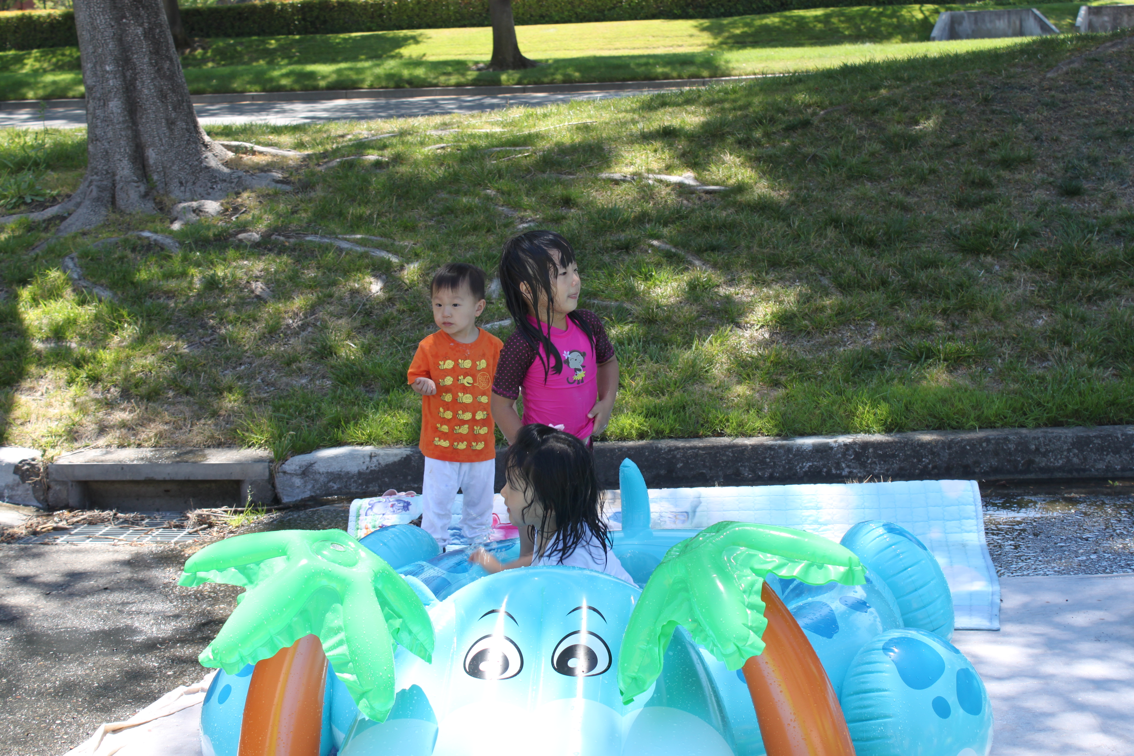 IMG_5317.JPG