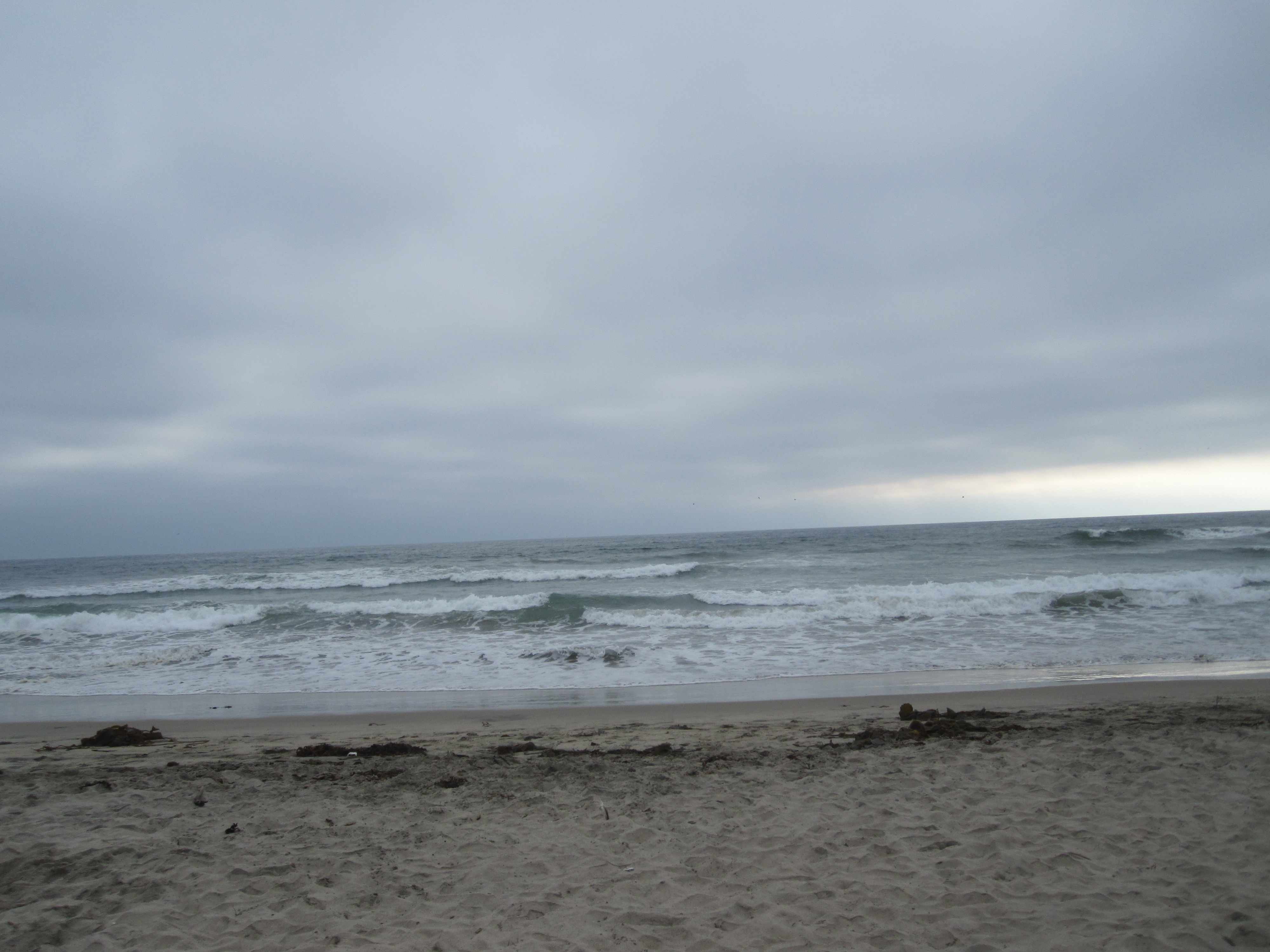 IMG_2338**.jpg