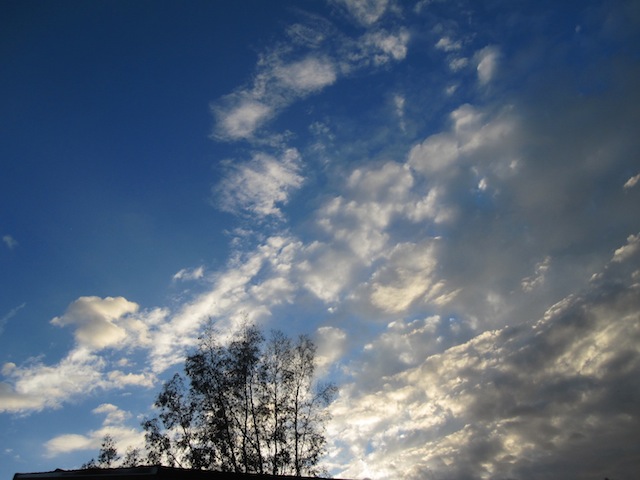 IMG_2402.JPG