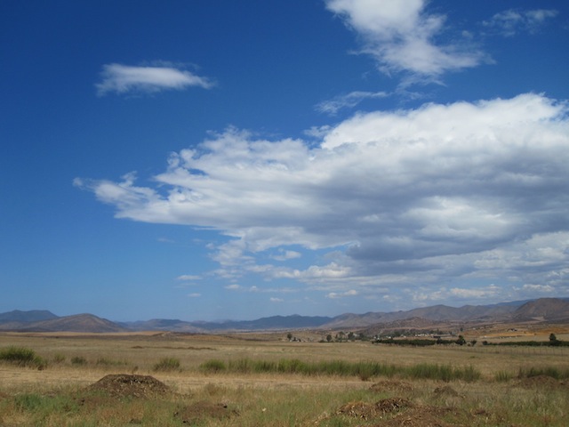 IMG_2339.JPG