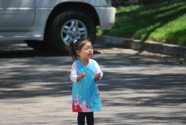 DSC_0602.JPG